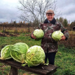 Без капусты в доме пусто, без капусты жить не вкусно!