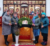 С Вербным воскресеньем!